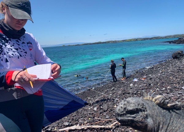 Field Assistant Cathy Hobbs recording iguana measurements whilst the snorkel team collect habitat data in eastern Fernandina island © Juan Pablo Muñoz-Pérez